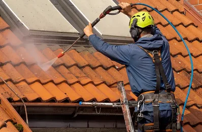 Démoussage et hydrofuge de toiture à Bréauté